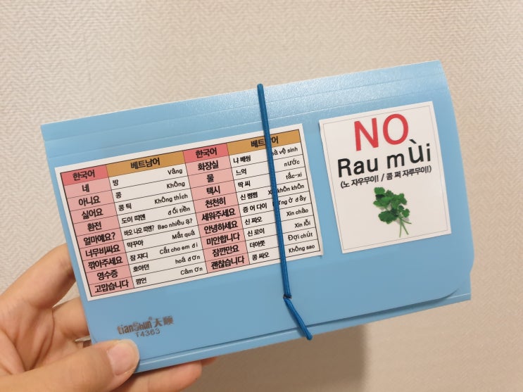 부모님과 함께한 3박5일 :: 다낭여행 시 미리 준비 해야할 필수 리스트