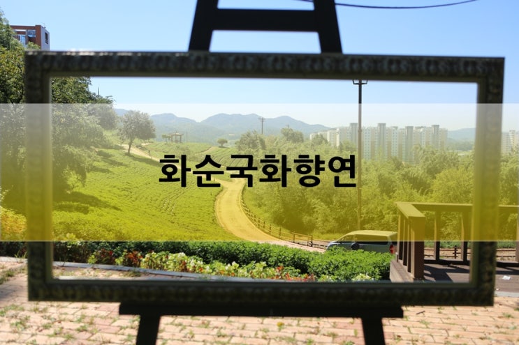  전남국화축제 화순국화향연과 함께 1박2일 화순여행코스!