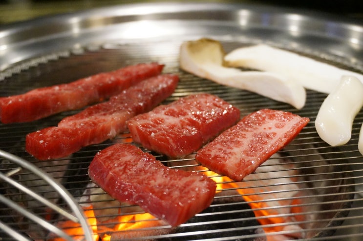  봉명동 맛집 청주 소고기 먹으러 육고집 봉명점