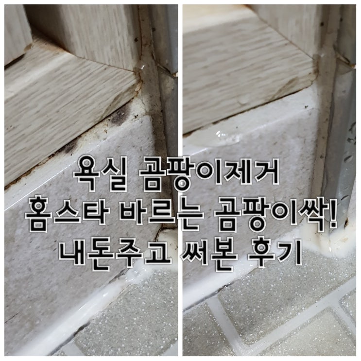  [욕실곰팡이제거제] 홈스타 바르는 곰팡이싹! 효과 있어요~