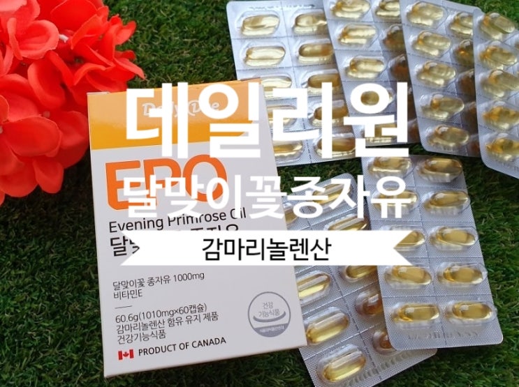  데일리원 달맞이꽃 종자유 감마리놀렌산 혈행개선영양제