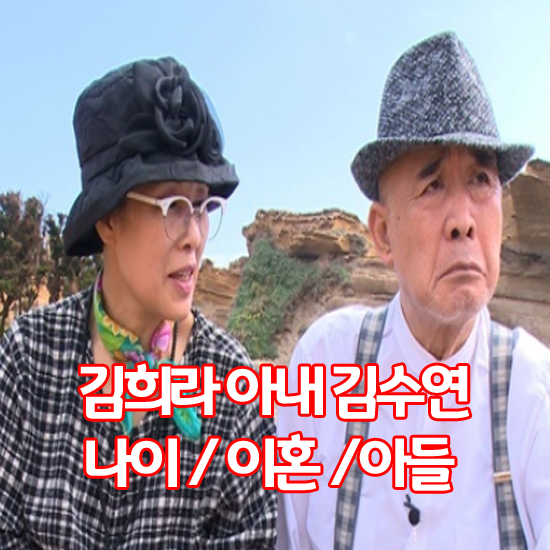김희라부인 김수연 나이 아들은? 김희라부인 김수연 나이 아들은?