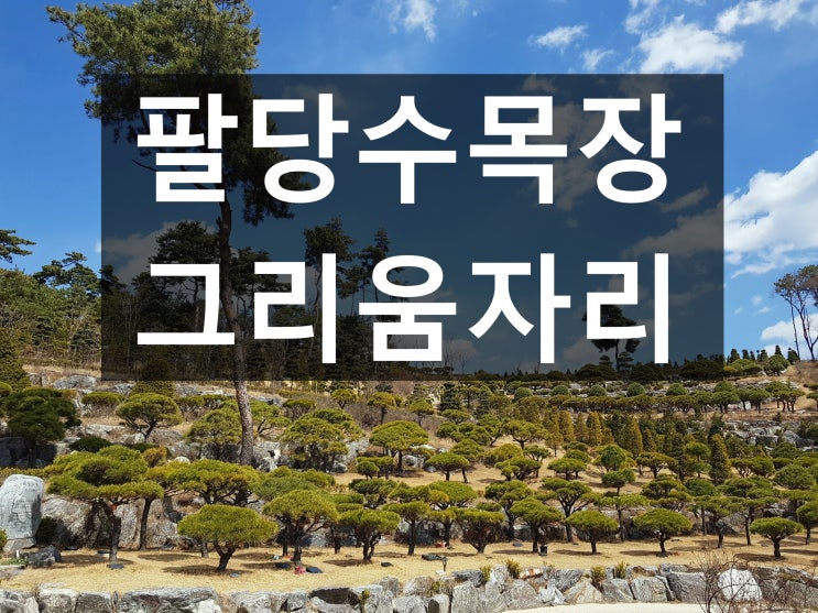  팔당수목장 가격과 위치를 안내드립니다.