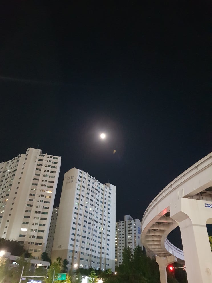  일상 _ 인절미설빙 , 김광현선수 , 나쁜녀석들더무비 , 신매 아사카 , 핸즈커피와플 , 한라봉과즐
