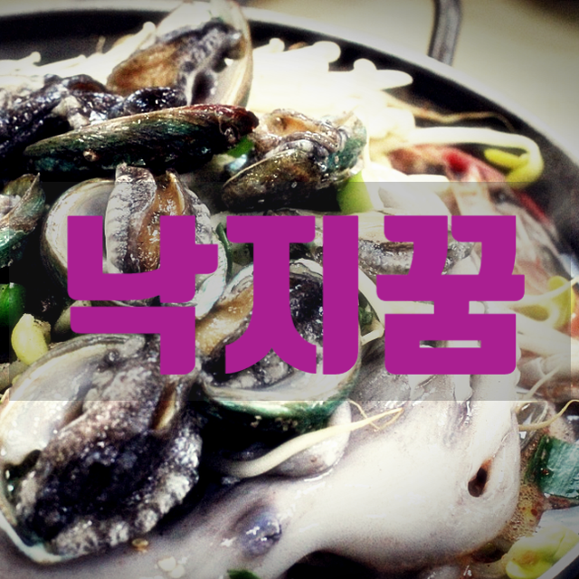 ◈ 낙지꿈 ◈