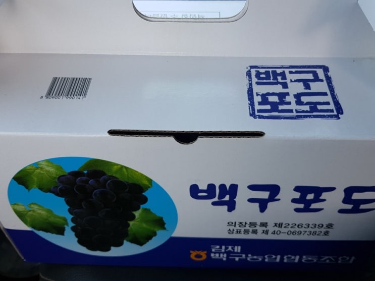 좆될뻔 좆될뻔
