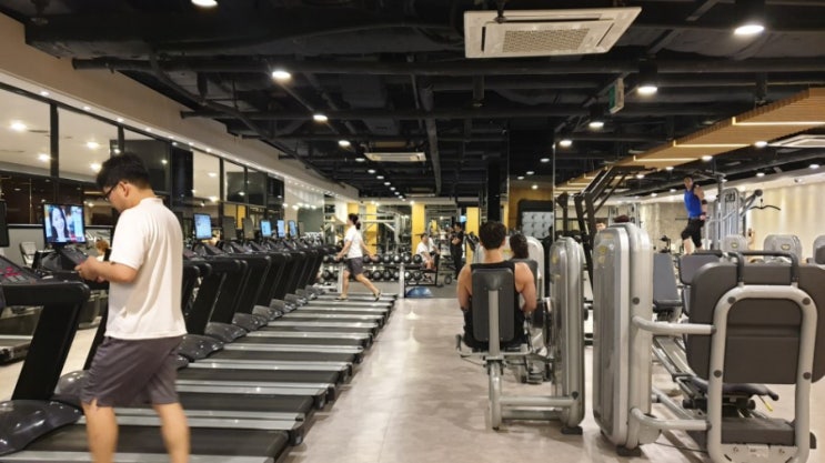  강남 헬스장 휴메이크 휘트니스 훈남 케인쌤한테 받은 PT정리