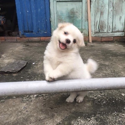  방가방가^^~