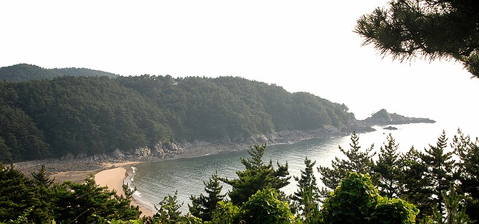  충남 태안군의해수욕장