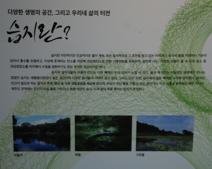 대한민국 람사르 습지 [목록] -배근휘