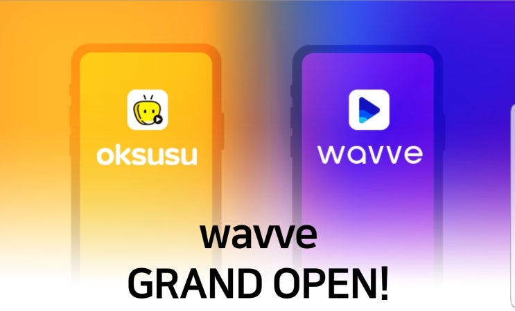  wavve(웨이브) GRAND OPEN!  wavve(웨이브) 이용권
