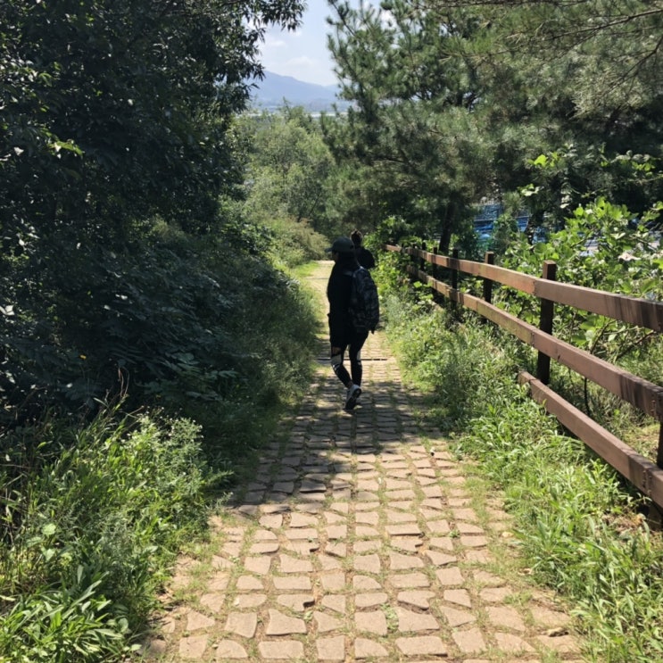  [안성 등산로] 안성비봉산에서 가뿐해진 2번째 등산'ᴗ'