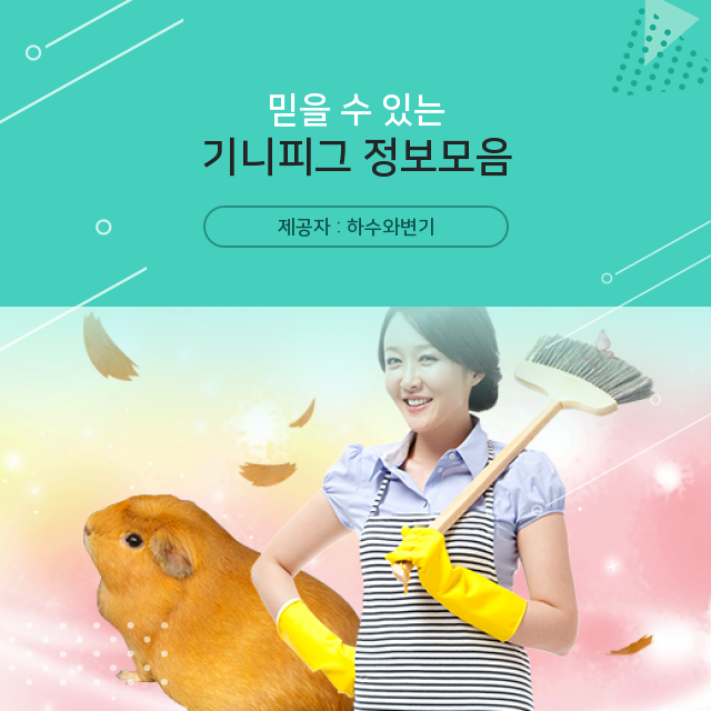  궁금증 타파를 위한 기니피그 핵심지식