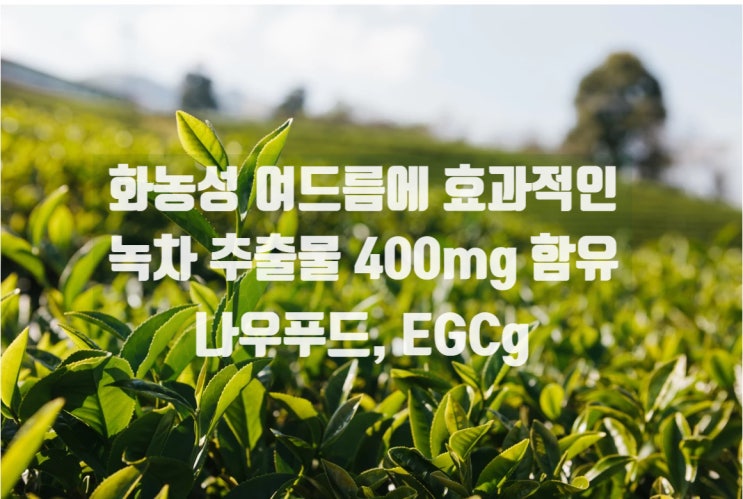 성인 여드름 완전 극복 필수 템 녹차 추출물, 이거 알지? 'EGCg 나우 푸드'