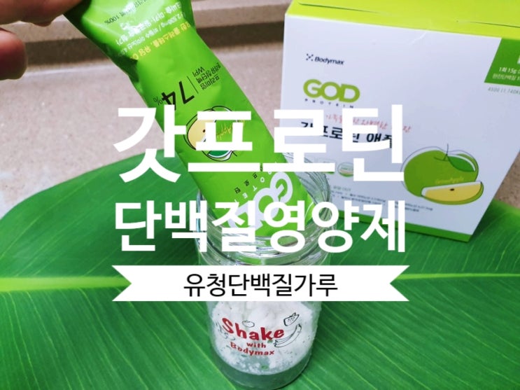  맛있는 단백질영양제 바디맥스 갓프로틴 애플 유청단백질가루