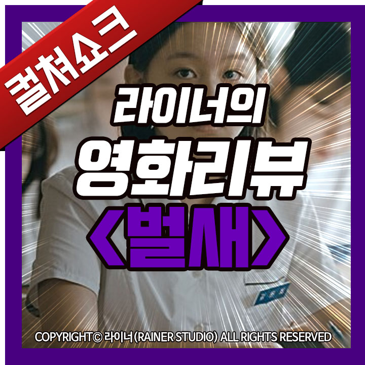  영화 <벌새> 리뷰, 후기, 줄거리, 결말, 해석 1편 - 라이너의 컬쳐쇼크 (스포주의)