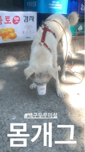 일상