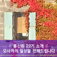  [시사일본어사 통신원 22기] 강이슬 : 소중한 오사카의 일상 모두 전해드릴게요!