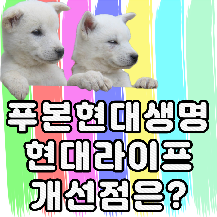  푸본현대생명 보험 현대라이프 잘 되어 있는 건지 모르겠어요