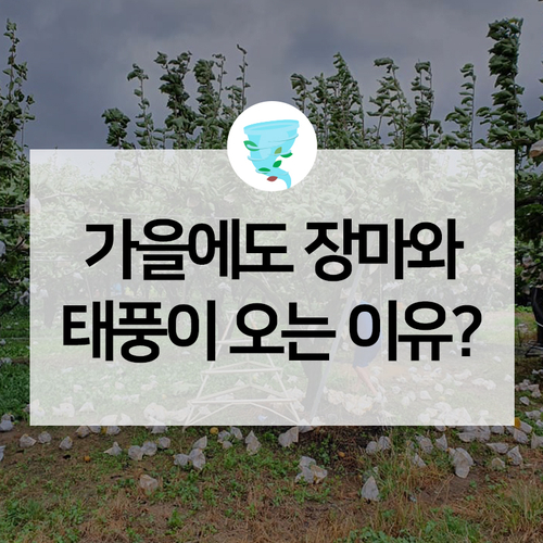  가을에도 장마가 오는 이유? 왜 9월에 태풍이 더 잦을까요?