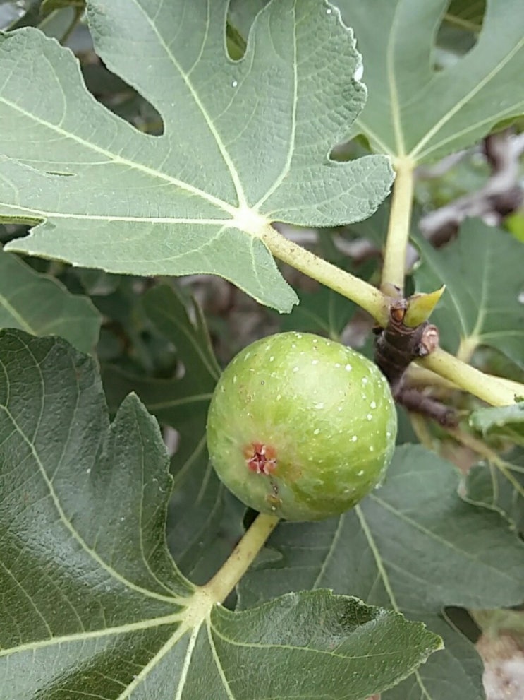  오늘의 뉴스