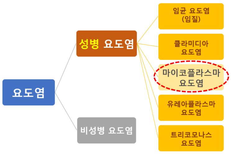  [울산 삼산동 비뇨기과] 남자 성병 마이코플라스마 요도염의 원인