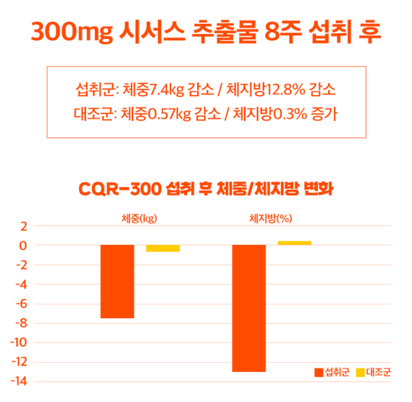  시서스, 진짜 살이 빠진다고?