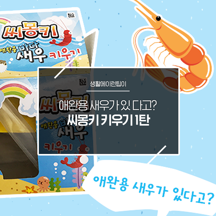  애완용 새우가 있다고? 씨몽키 키우기 1탄!