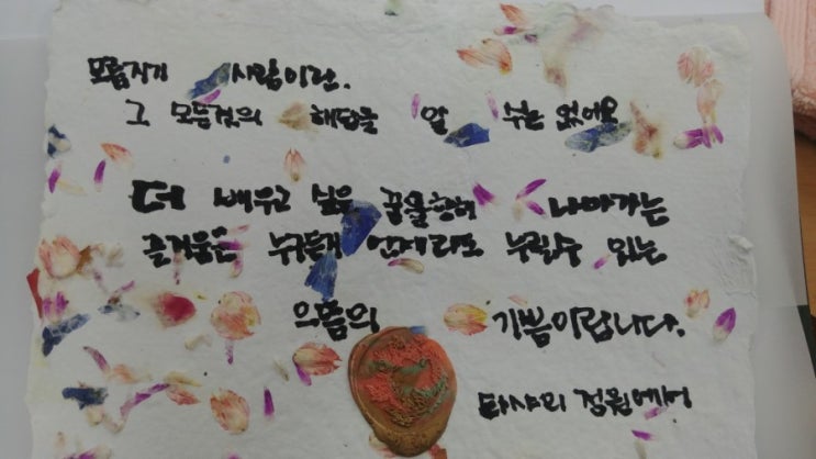  타샤튜터책 타샤의 정원중에