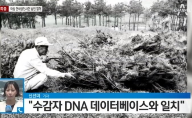  화성연쇄살인사건 살인의추억의 얼굴없는 범인이 나왔네요