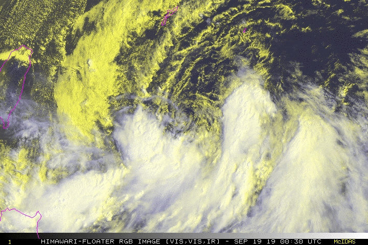  북서 태평양 : 열대저기압 타파 (Tropical Depression Tapah) #01