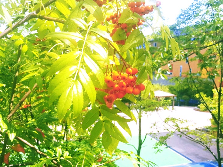  우연히 강남대학교를 가보게 되었네요.