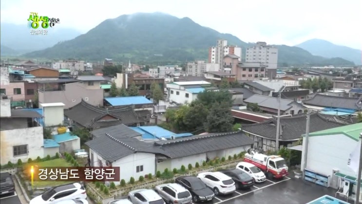  27년 전통 한우 안의 갈비찜 미송갈비탕 2TV 생생정보 190918 전설의 맛 이숙자