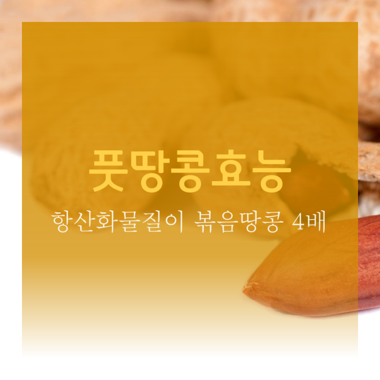 풋땅콩, 항산화효능이 높다?