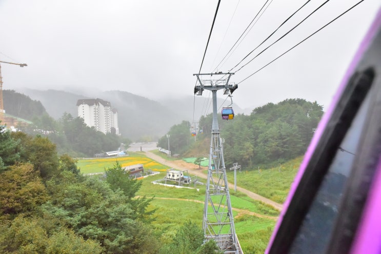  용평 가볼만한곳 용평리조트 발왕산 케이블카 (비오는날)