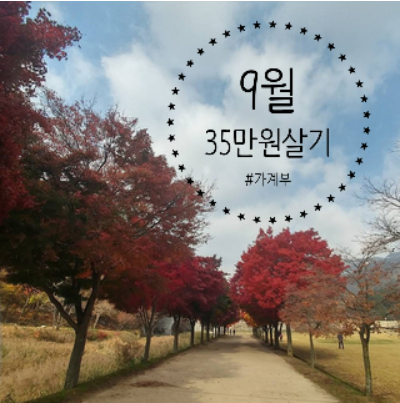 [가계부] 한달 35만원 살기 / 9월 20일