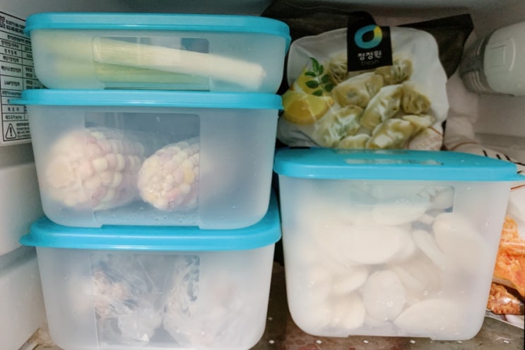 국민냉동용기 타파웨어 펭귄 이용해서 깔끔하게 냉동실 정리