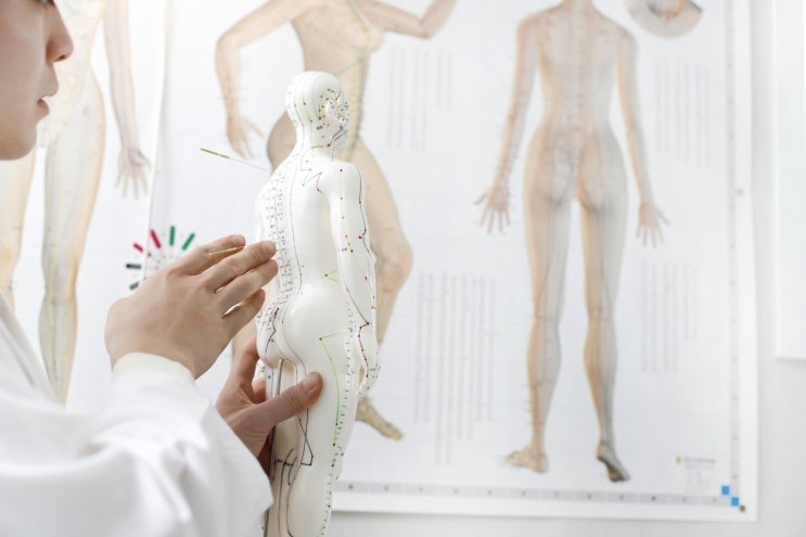  [일산 추나요법] 허리디스크 한의원 수술 없이 비수술로 치료가 가능할까? 척추 추나 통증 치료 및 예방 (2)