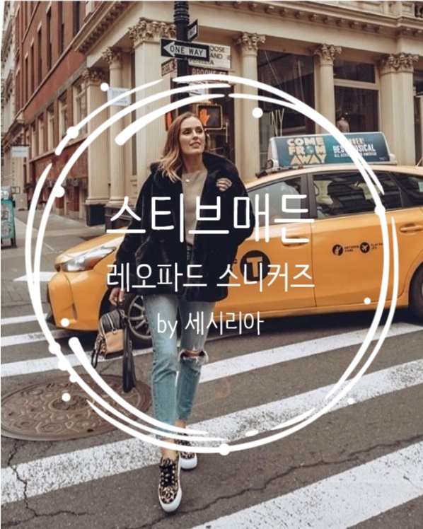  스티브매든 레오파드 스니커즈 구매대행 득템후기