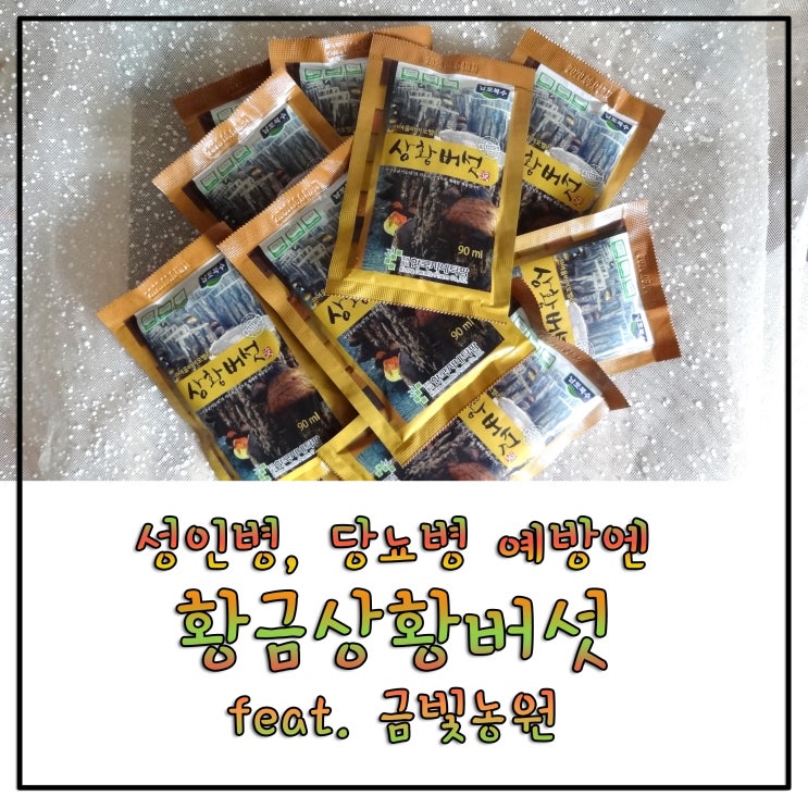  [부모님선물추천] 성인병, 당뇨병 예방에 딱! 황금상황버섯 추출물 feat. 금빛농원