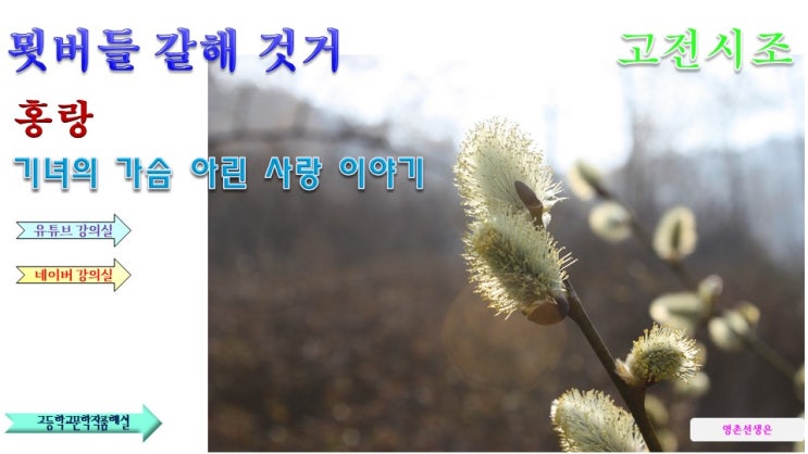  홍랑 묏버들 가려 꺾어