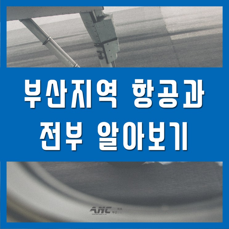  부산항공과 항공운항과 2년제 4년제 모든정보