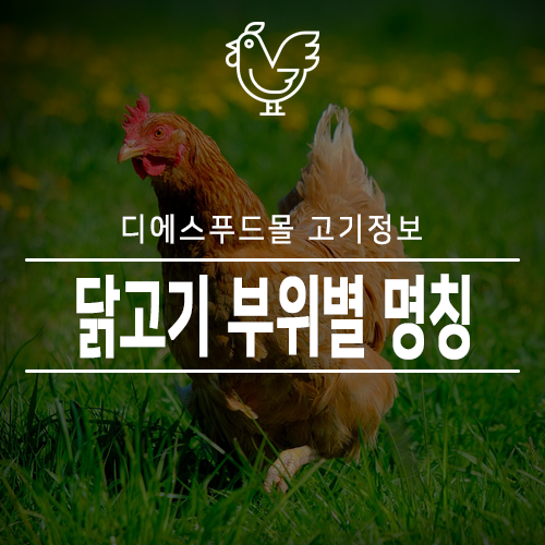 [디에스푸드몰 고기정보]닭고기 부위별 명칭