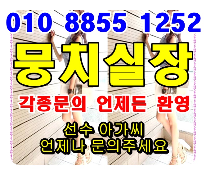  풀싸롱야구장 잉디야느