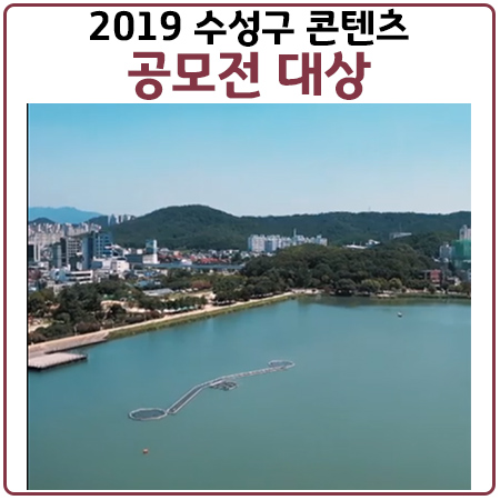 수성구 콘텐츠 공모전 대상 수상 수성구 콘텐츠 공모전 대상 수상