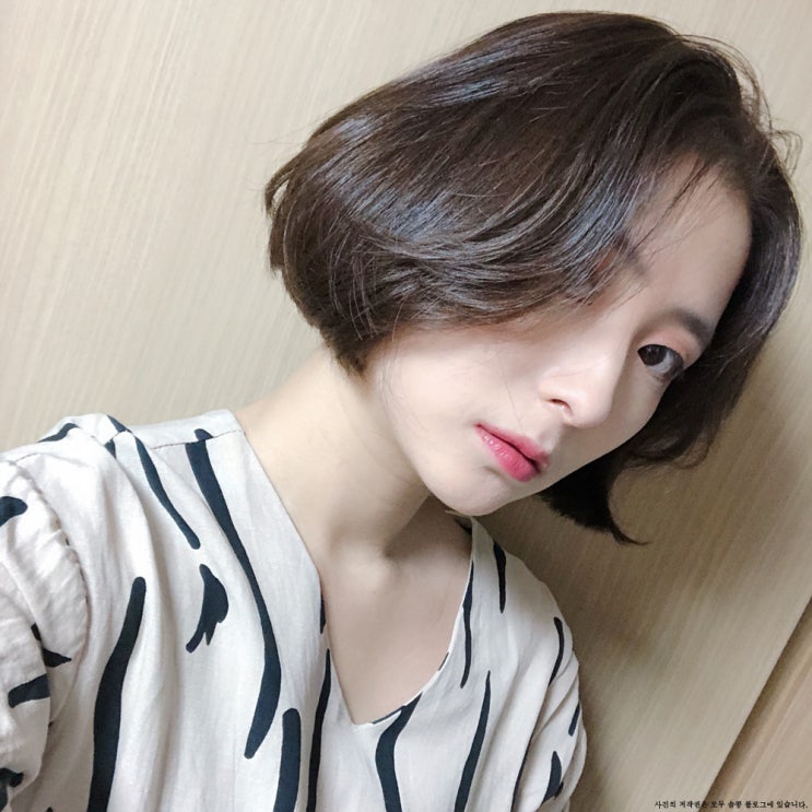  압구정로데오미용실 차홍룸, 보니컷+애쉬브라운 (박시은 디자이너)