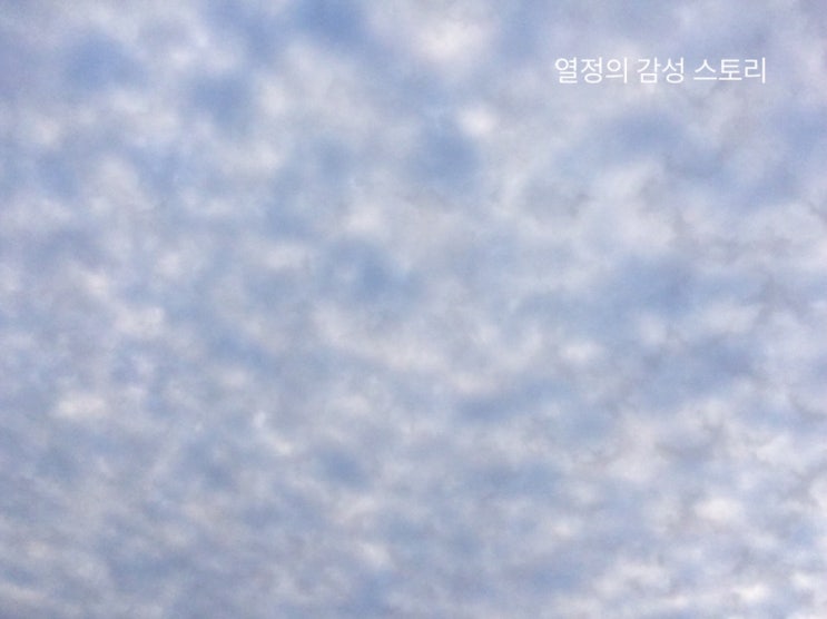 오늘 그리고 내일 통영/거제 날씨 2019.09.20(미세먼지 좋음 21/) 제17호 태풍 타파(TAPAH) 예상 경로