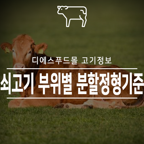 [디에스푸드몰 고기정보]쇠고기 부위별 분할정형기준