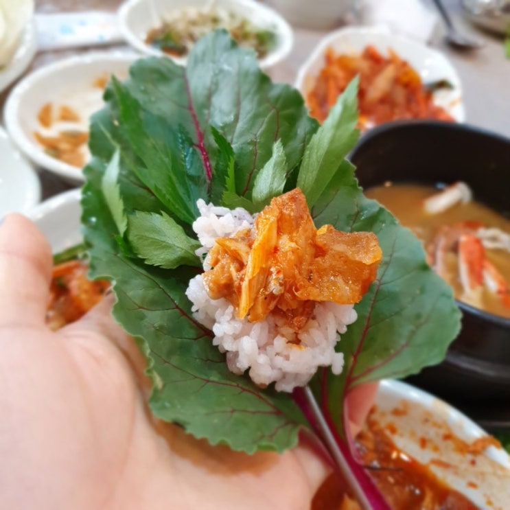 [동래맛집/안락동맛집] 정갈하고 정성가득한 장수쌈밥