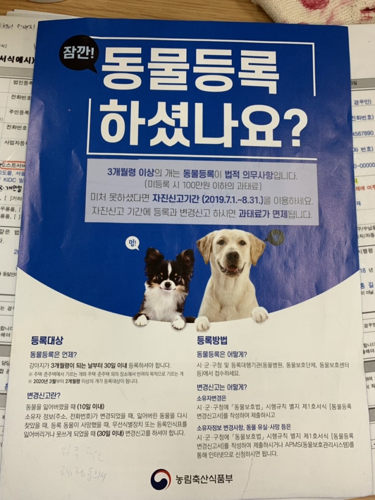  반려견 등록하고 왔음_불편러의 관점